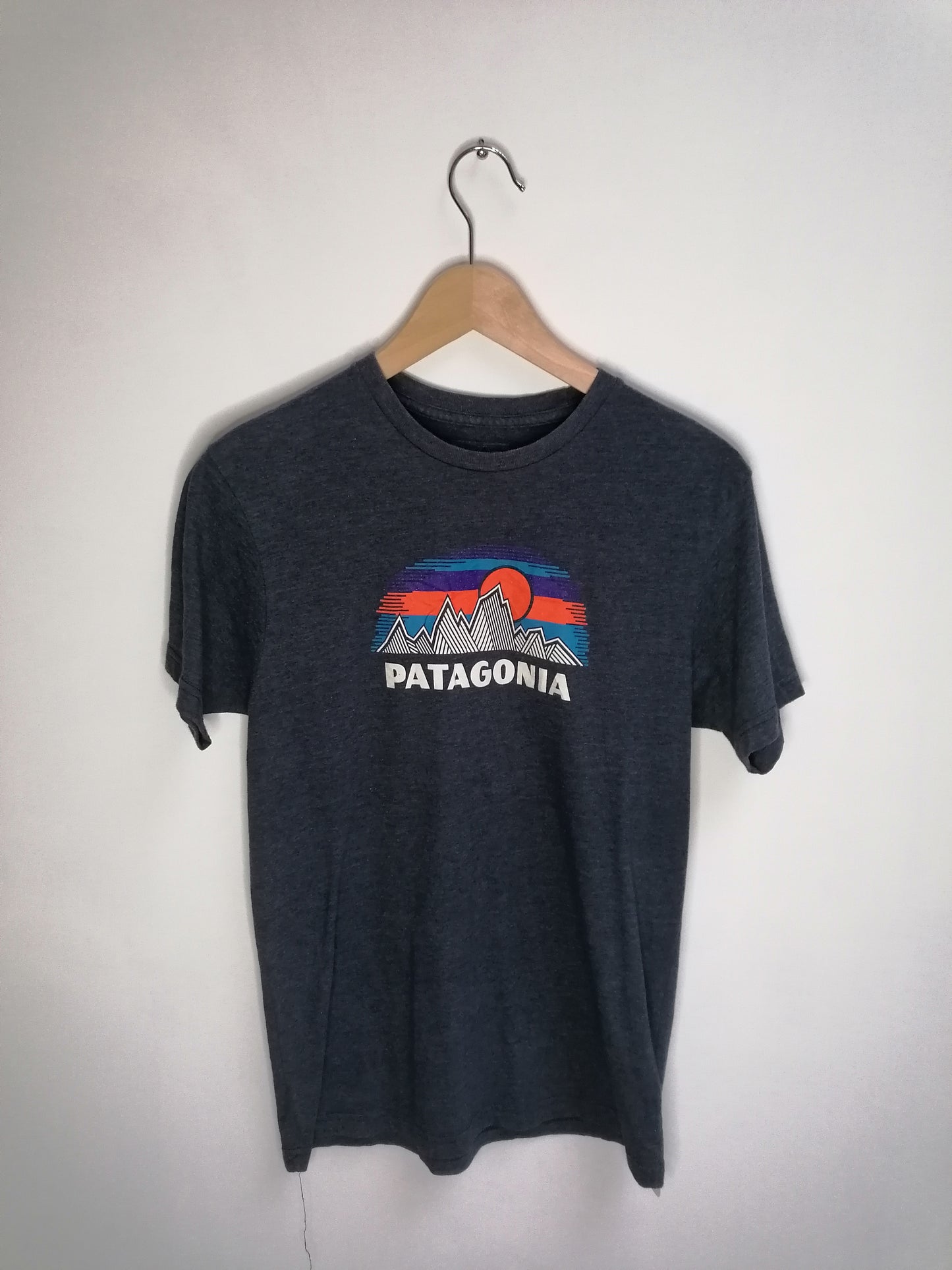 T shirt Patagonia